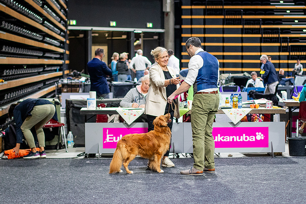 Newton schaut lächelnd nach oben und sieht, wie Stephan die Schleife für ihn bekommt