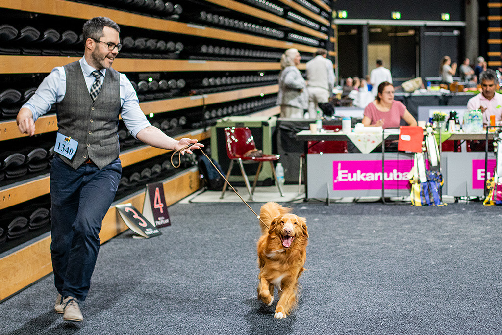 Newton startet in der Offenen Klasse und fliegt durch den Ring