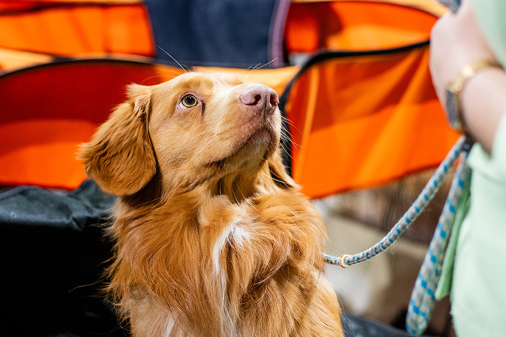 Newton sitzt auf einem Stuhl und himmelt Ann-Kathrin an