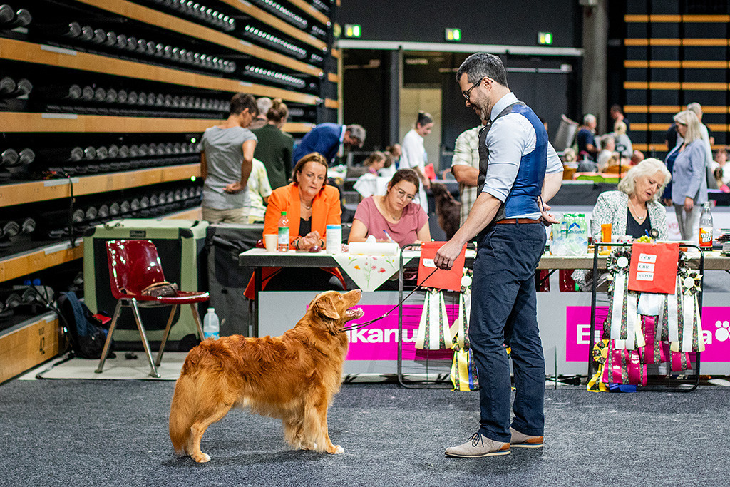 Edison steht vor dem Richtertisch