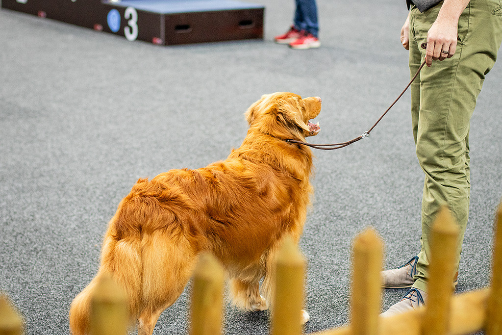Edison steht mit Stephan im Ehrenring