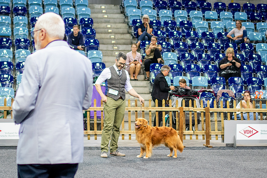 Edison stellt sich in Pose und lächelt in Richtung des Richters