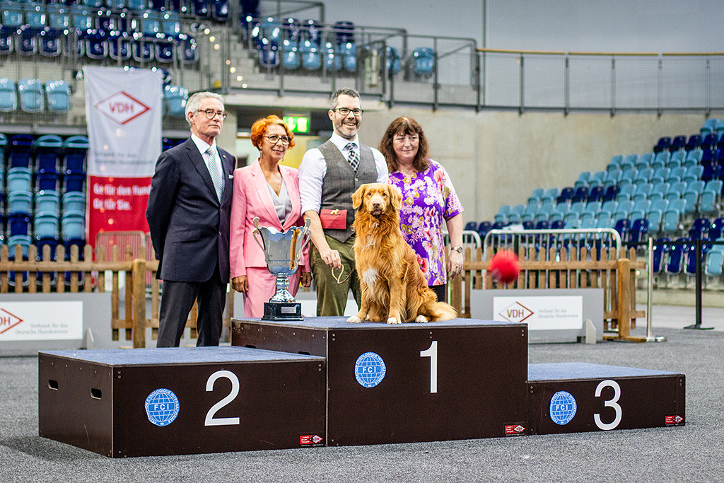 Newton sitzt als Tagesieger alleine auf Treppchen, dahinter der Best in Show Richter, die Gruppe 8 Richterin und eine Show-Verantwortliche