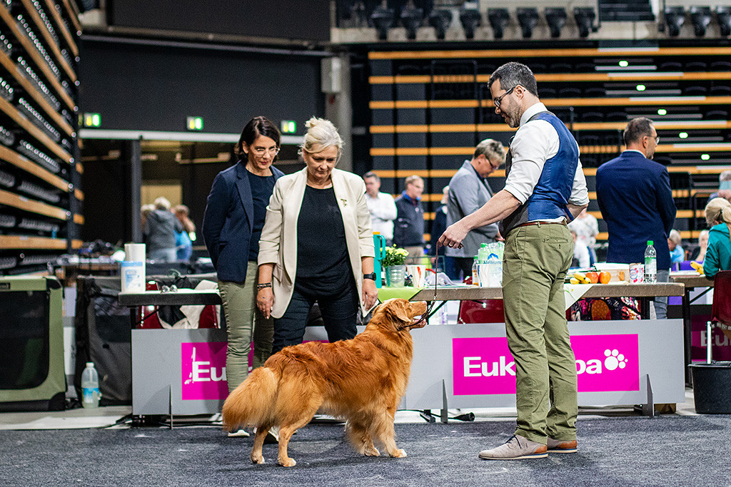 Edison bei der Stehprobe vor der Richterin