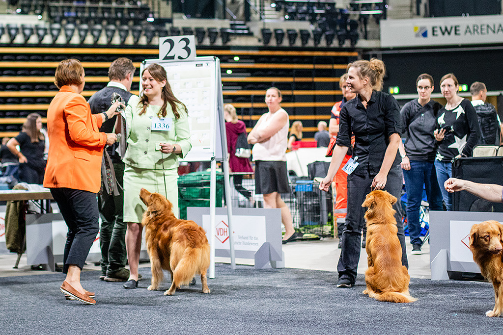 Edison gewinnt das BOB, Ann-Kathrin nimmt die Schleife dafür entgegen