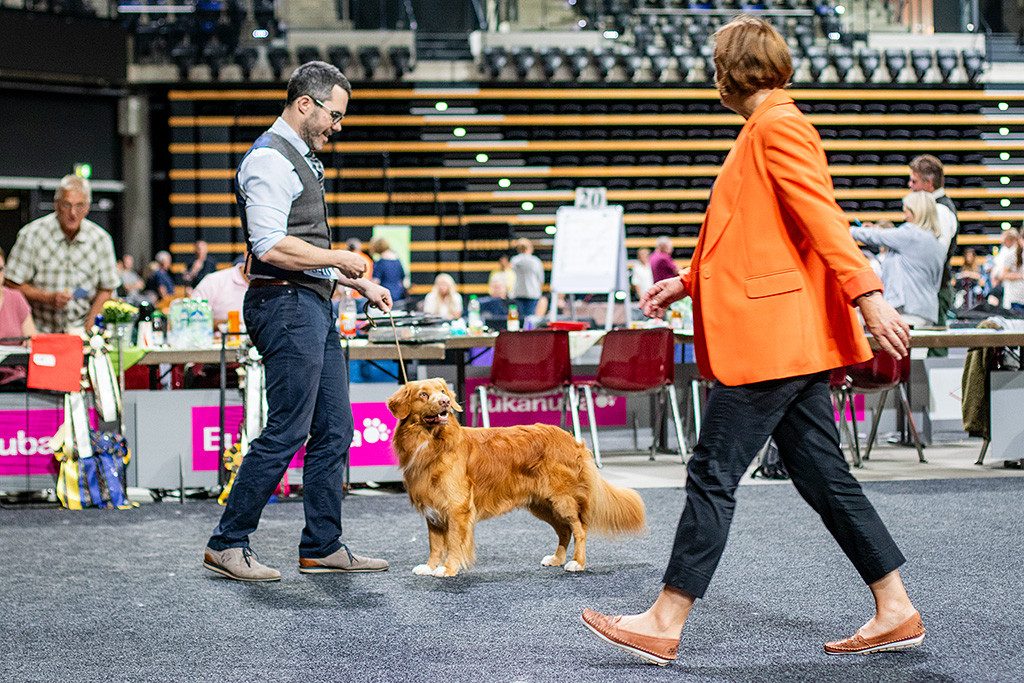 Newton steht vor Stephan und flirtet mit der Richterin