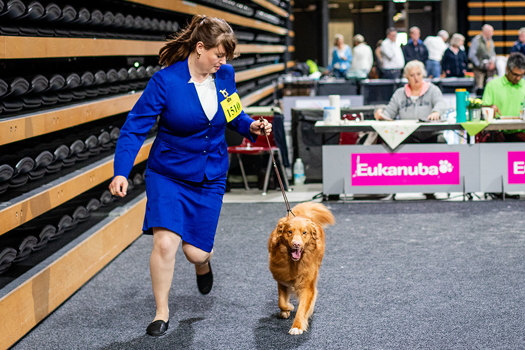 Edison läuft freudig an der Seite von Ann-Kathrin durch den Ring