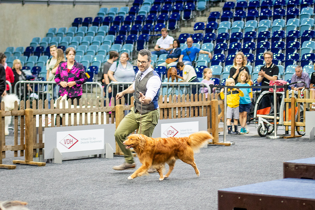 Edison fliegt an Stephans Seite durch den Ring