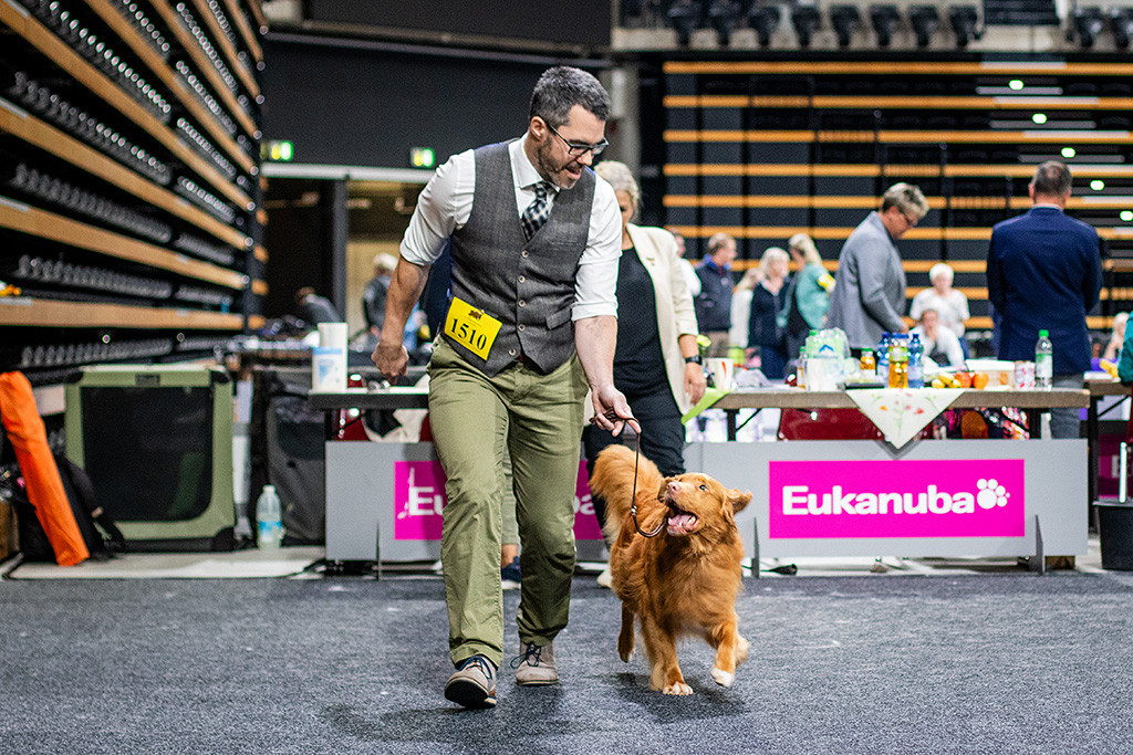 Edison bei der Gangwerkprobe von der Richterin weg
