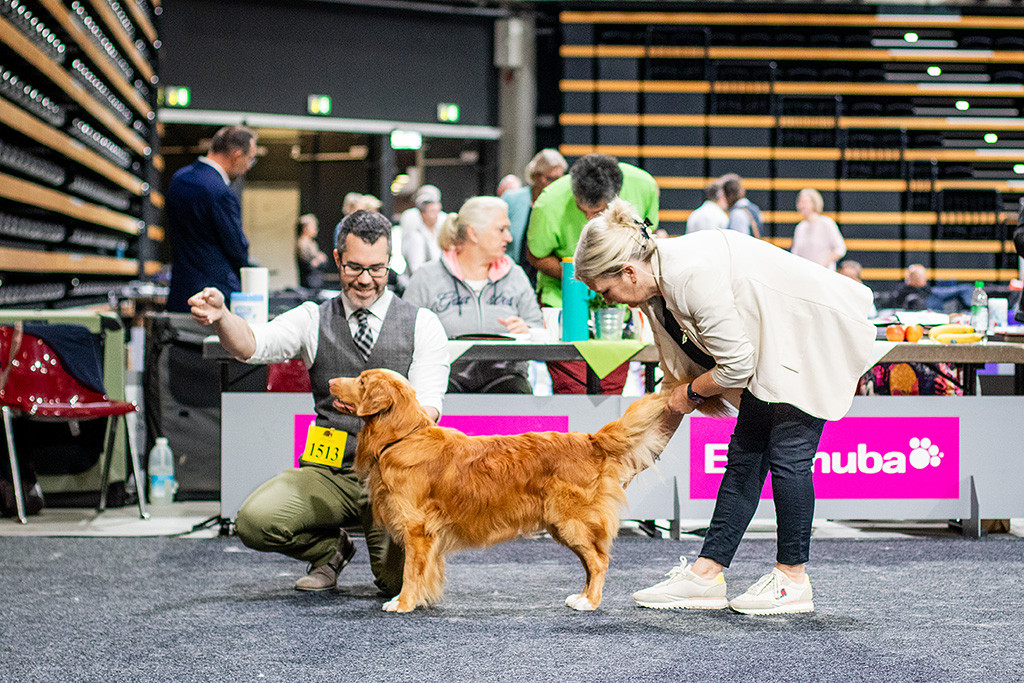 Newton wird von der Richterin abgetastet