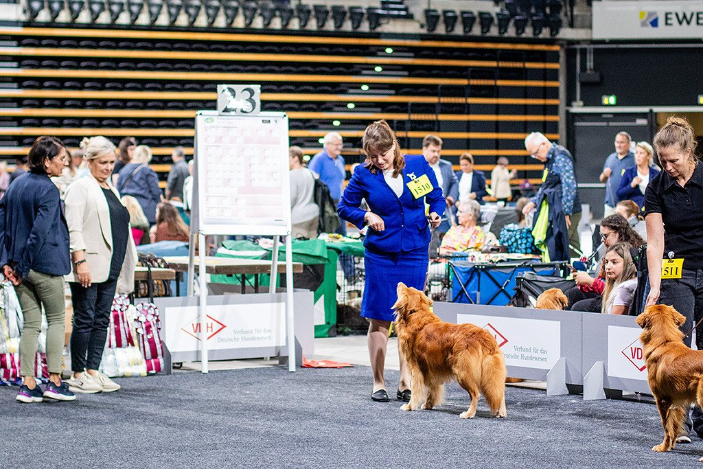 Edison steht vor Ann-Kathrin während sich die Richterin alle Hunde nochmal anschaut