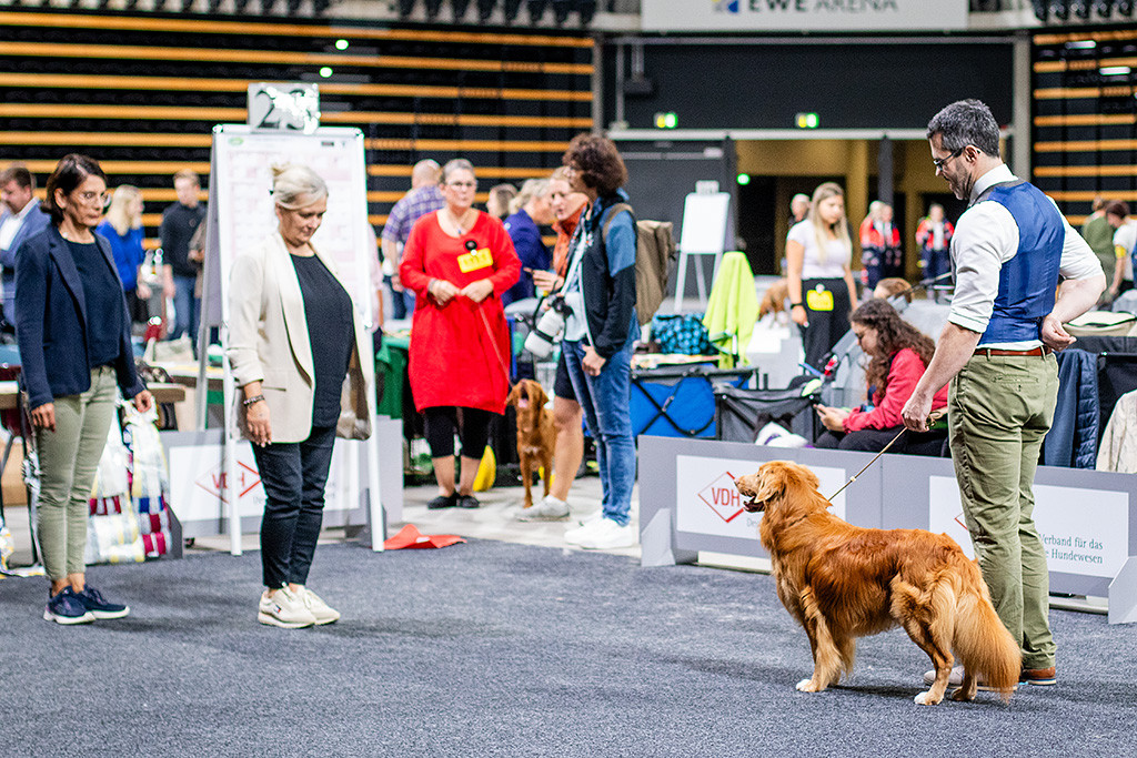 Newton schaut flirtend zur Richterin, die frontal vor ihm steht