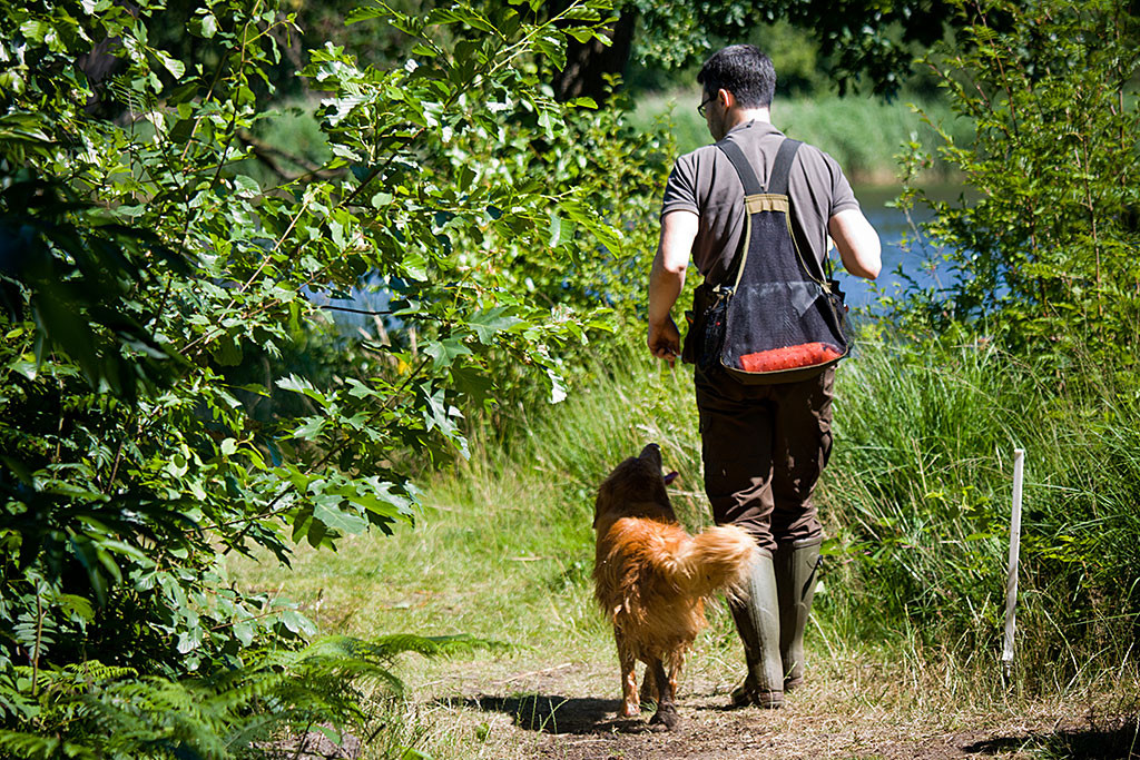 Edison läuft neben Stephan zu ihm hochschauend zur nächsten Aufgabe