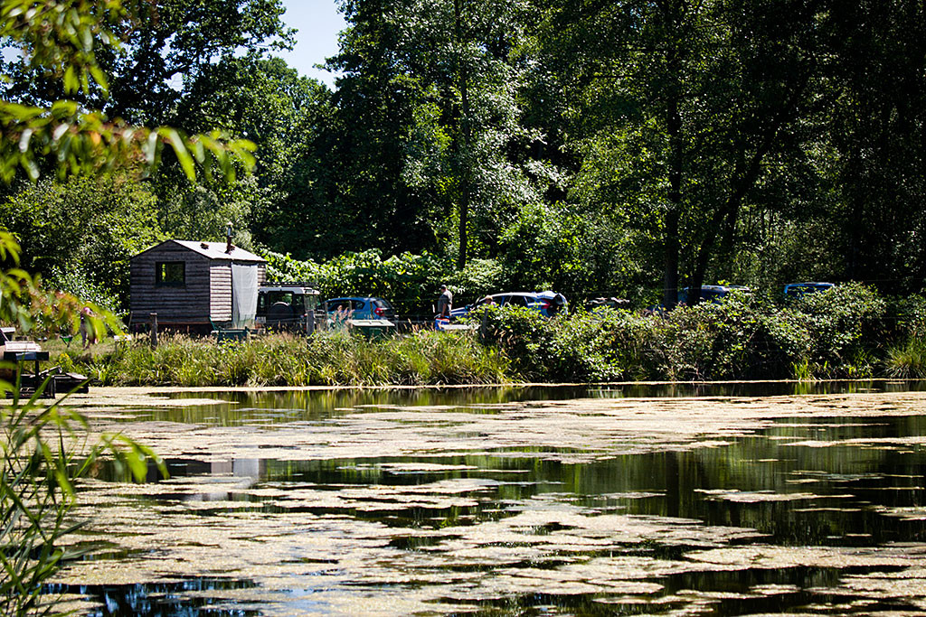 Carstens Hütte am See zwischen all den grünen Bäumen