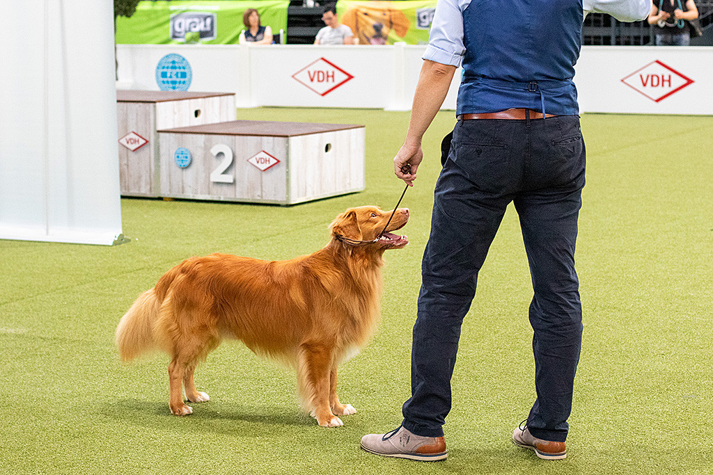 Edison steht vor Stephan und lächelt zu ihm hoch