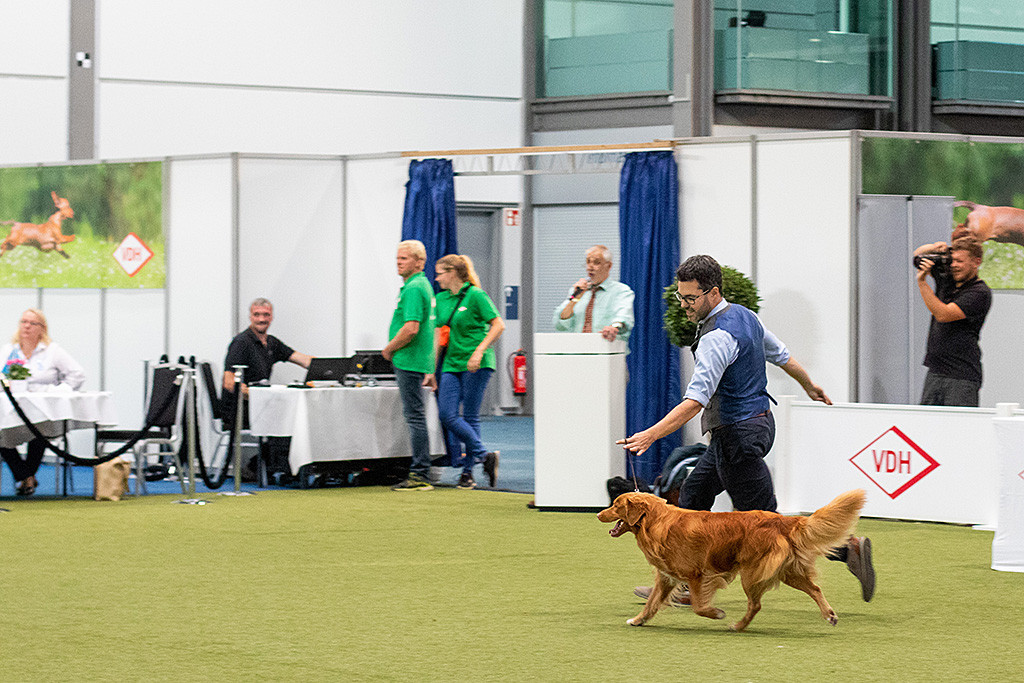 Edison fliegt an Stephans Seite durch den Ehrenring