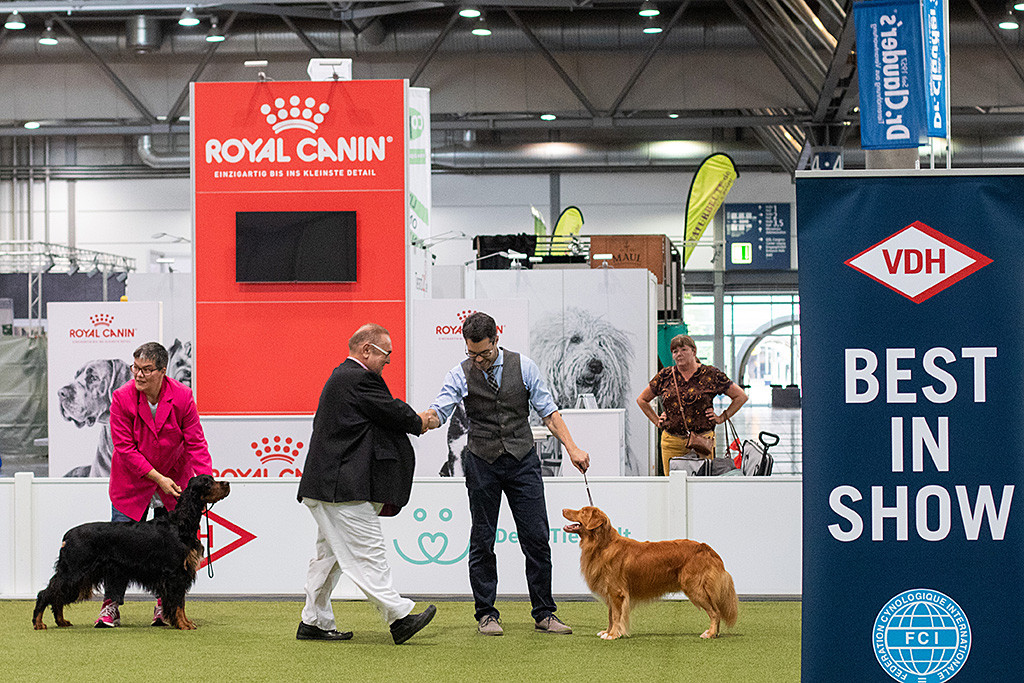 Edison steht vor Stephan, dem vom Richter die Hand geschüttelt wird