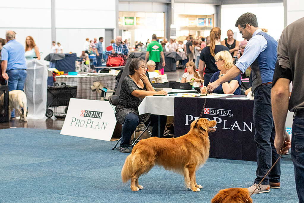 Edison steht zusammen mit Stephan vor dem Richtertisch und lächelt dabei