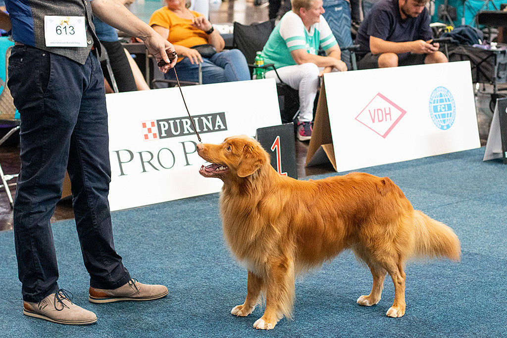 Edison steht als Rassebester vor Stephan und lächelt zu ihm hoch