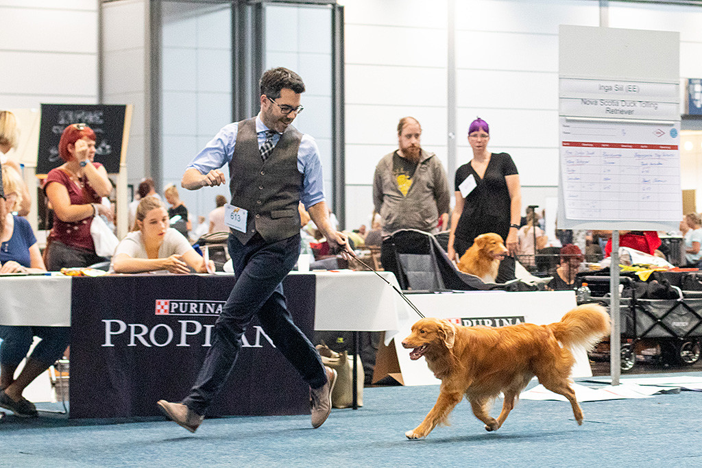 Edison fliegt an Stephans Seite durch den Ring