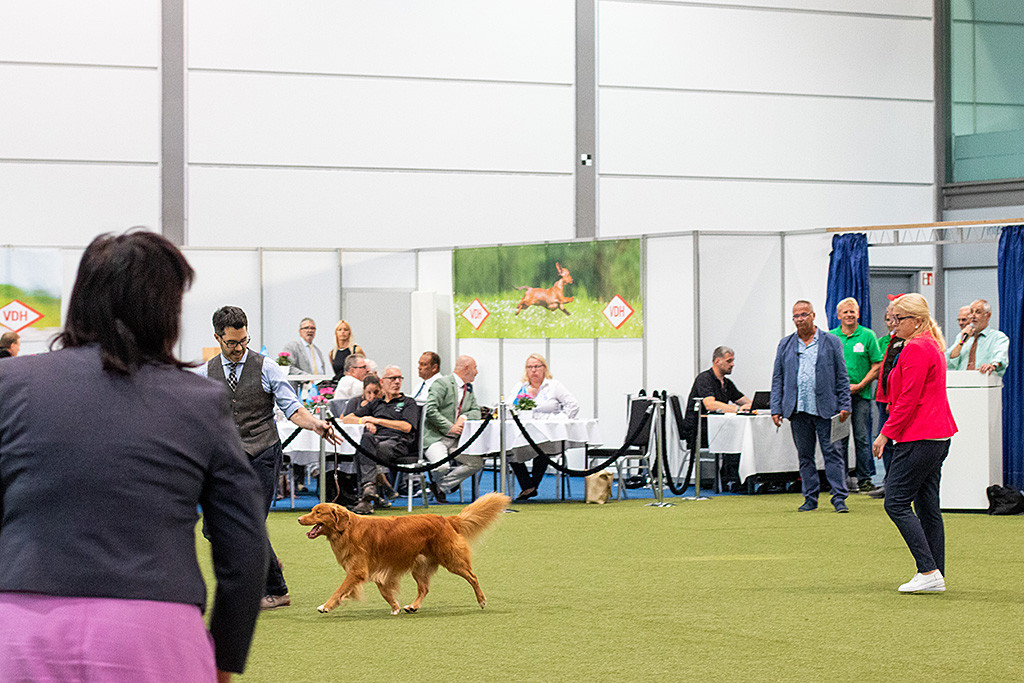 Edison läuft an Stephans Seite für die Richterin im Ehrenring die Gerade herunter