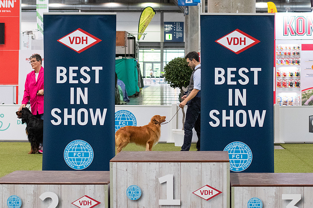 Edison steht für Best in Show im Ehrenring