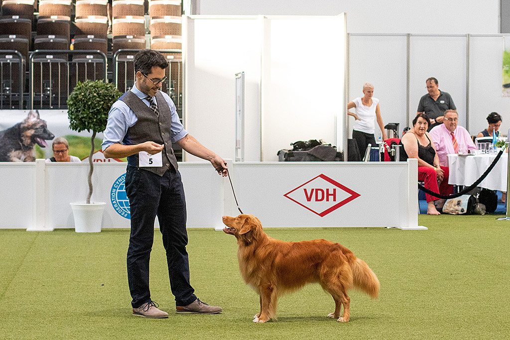 Edison steht im Ehrenring vor Stephan nachdem er in die Shortlist gewählt wurde