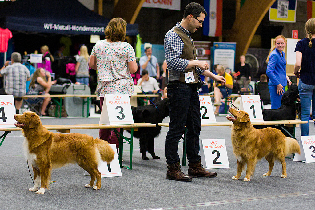 Edison steht neben »Alliance de La Vie Calm Steadiness«, dem späteren Rassebesten