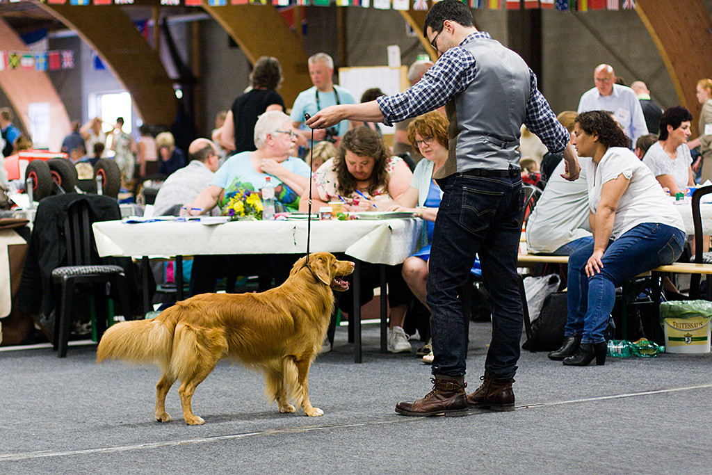 Edison steht mit Stephan vor dem Richtertisch und lächelt