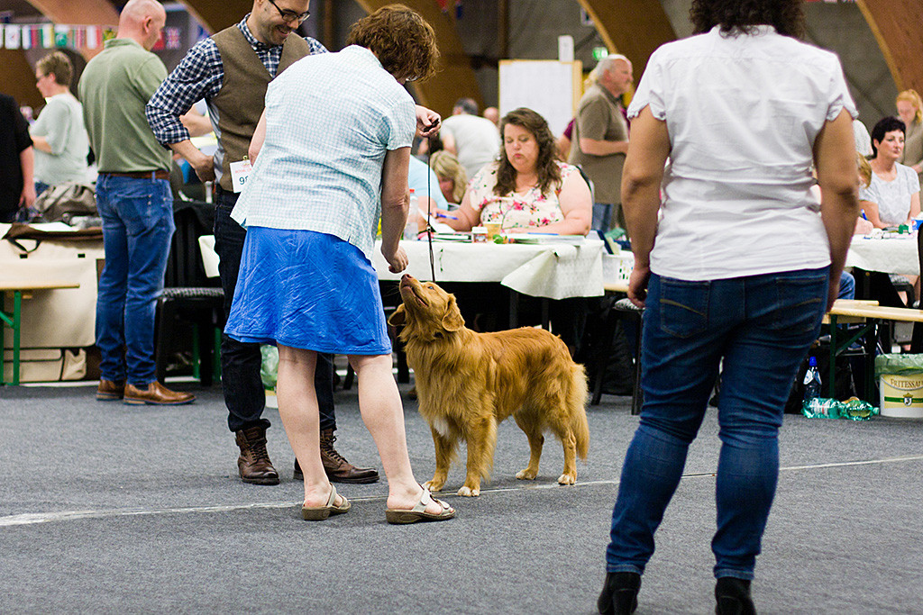 Edison schnüffelt an der Hand der Richterin, im Vordergrund schaut sich die Richteranwärterin das an