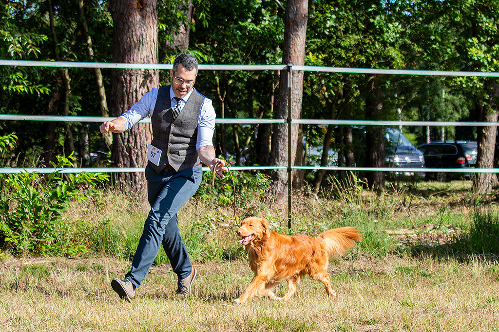 Newton läuft im perfekten Kreuzgang an Stephans Seite durch den Ring