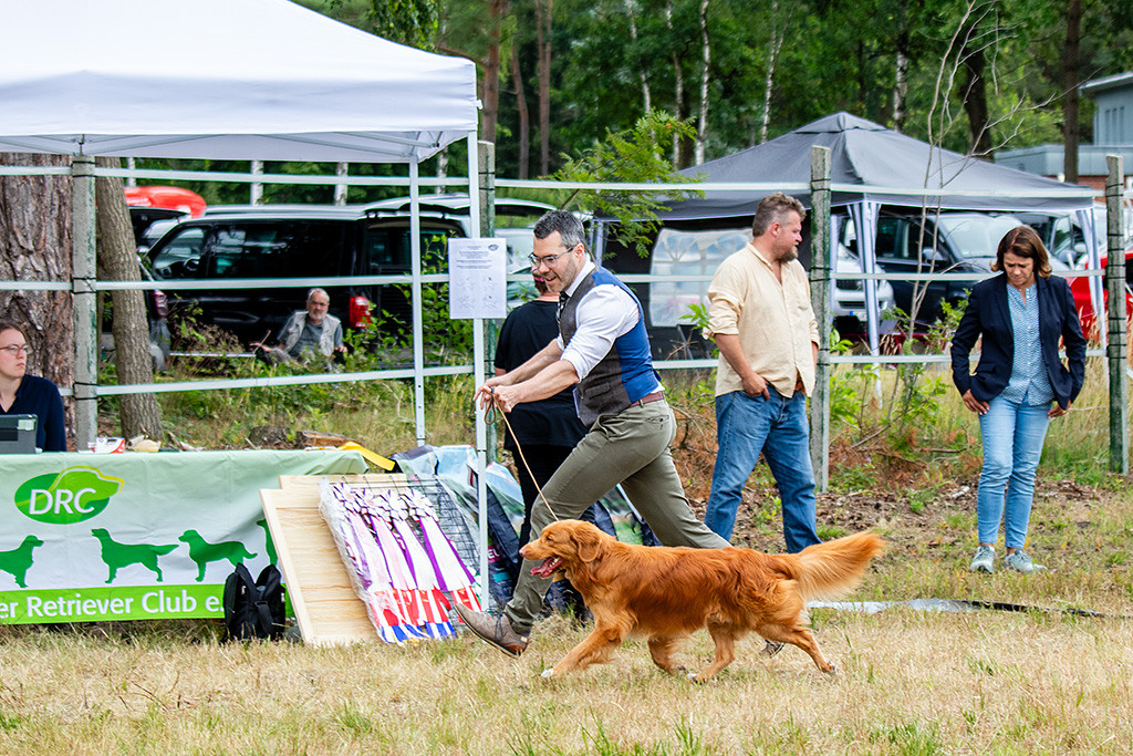 Newton läuft im perfekten Kreuzgang an Stephans Seite durch den Ring