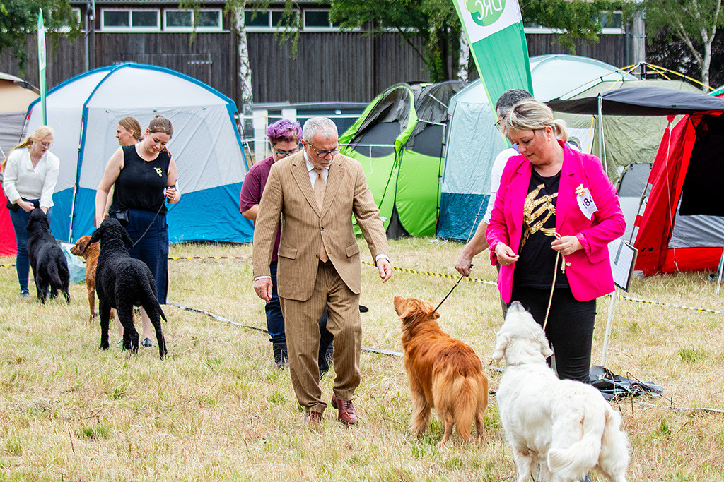 Edison geht mit seiner Nase zu der Hand des Richters, der gerade an ihm vorbeiläuft