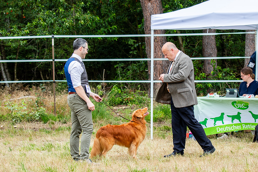 Edison steht an Stephans Seite und schaut dabei lächelnd hoch zum Richter, der auf ihn zugeht