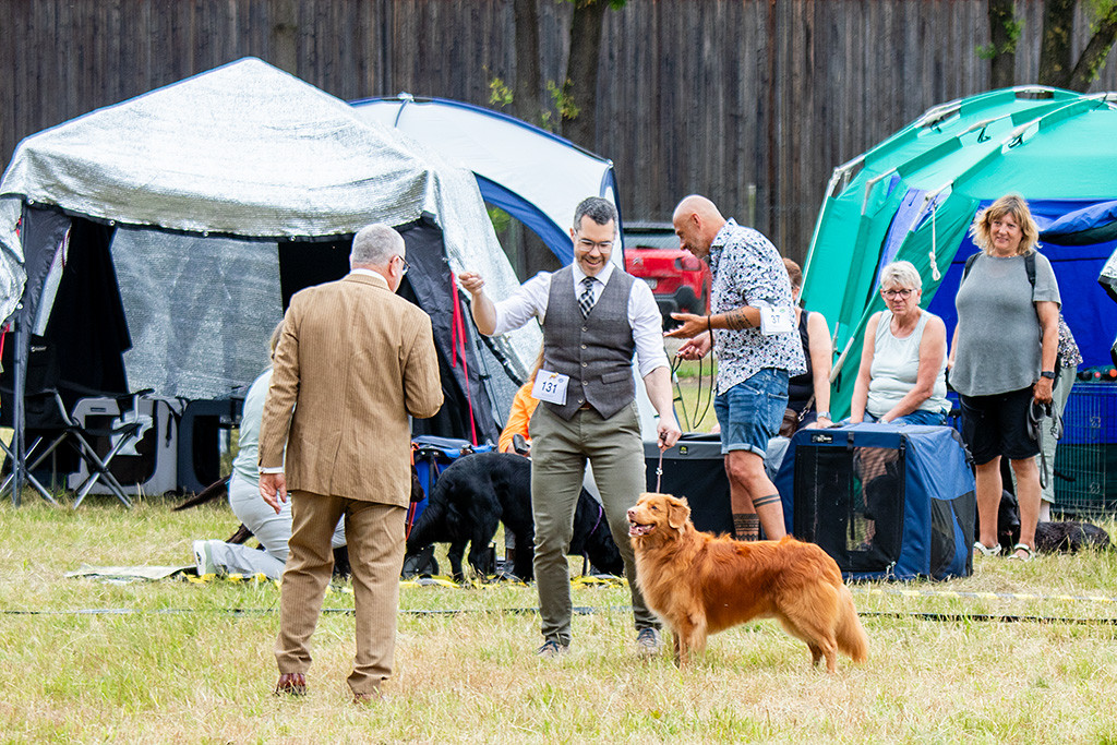 Edison steht an Stephans Seite und schaut zum Richter hoch