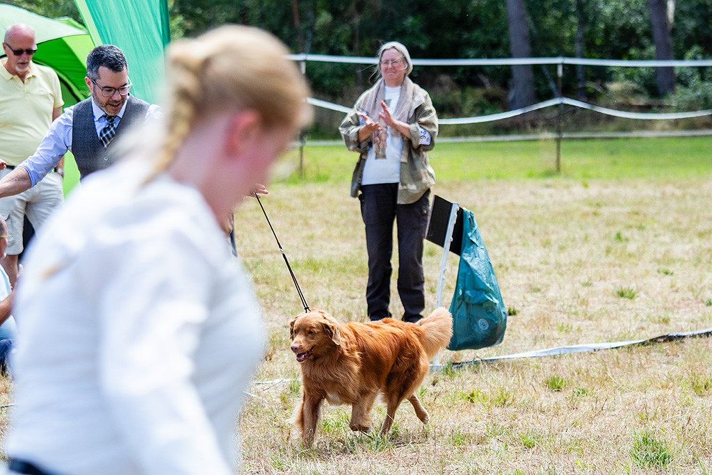 Edison läuft an Stephan Seite durch den Ring