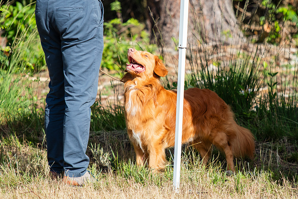 Newton steht in der Sonne und schaut lächelnd hoch zu Stephan