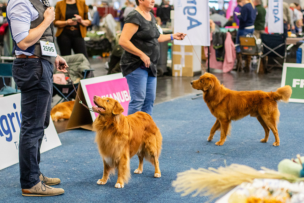 Edison vor Stephan und schaut lächelnd zu ihm hoch, während sie zusammen mit einem weiteren Toller warten
