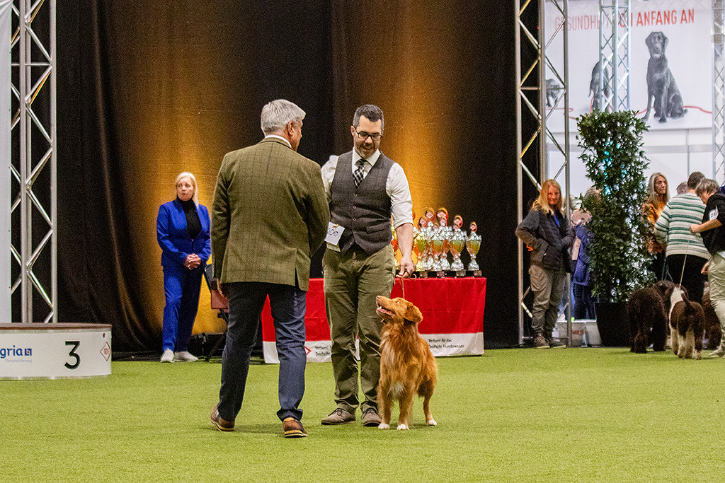 Newton steht an Stephans Seite und schaut hoch zum Richter, der ihn begutachtet