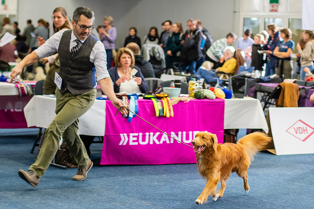 Newton  läuft freudig an Stephans Seite im schönen Kreuzgang durch den Ring
