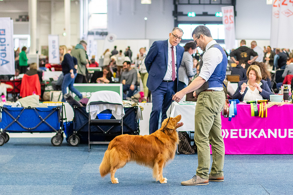 Edison steht lächelnd vor dem Richtertisch und schaut hoch zu Stephan
