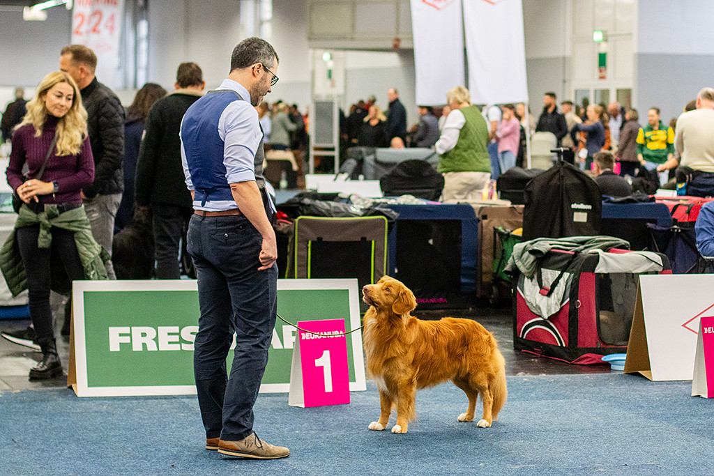 Newton steht vor Stephan und schaut fragend mit schrägem Kopf zu ihm hoch