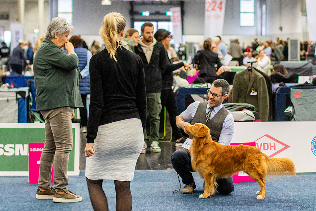 Newton steht wie ne Eins und schaut aufmerksam hoch zur Richtern, die vor ihm steht, dahinter kniet Stephan