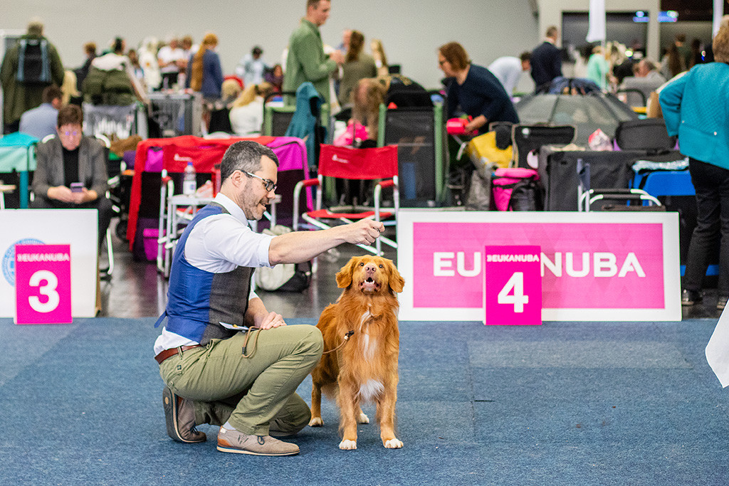Newton von vorn, schaut hoch zu Stephans Hand, der hinter ihm kniet