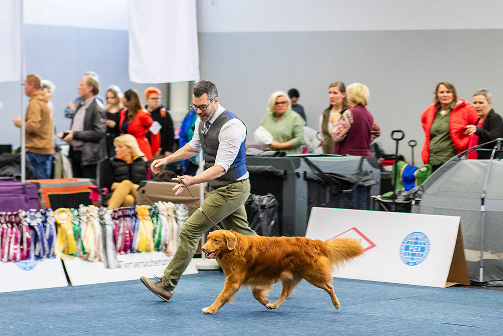 Edison läuft freudig an Stephans Seite im schönen Kreuzgang durch den Ring