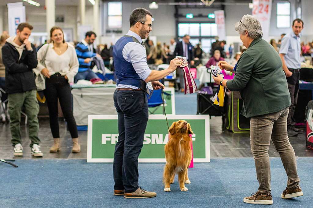 Stephan bekommt die Siegerschleife der Championklasse von der Richterin überreicht, Newton schaut faszinierend dabei nach oben