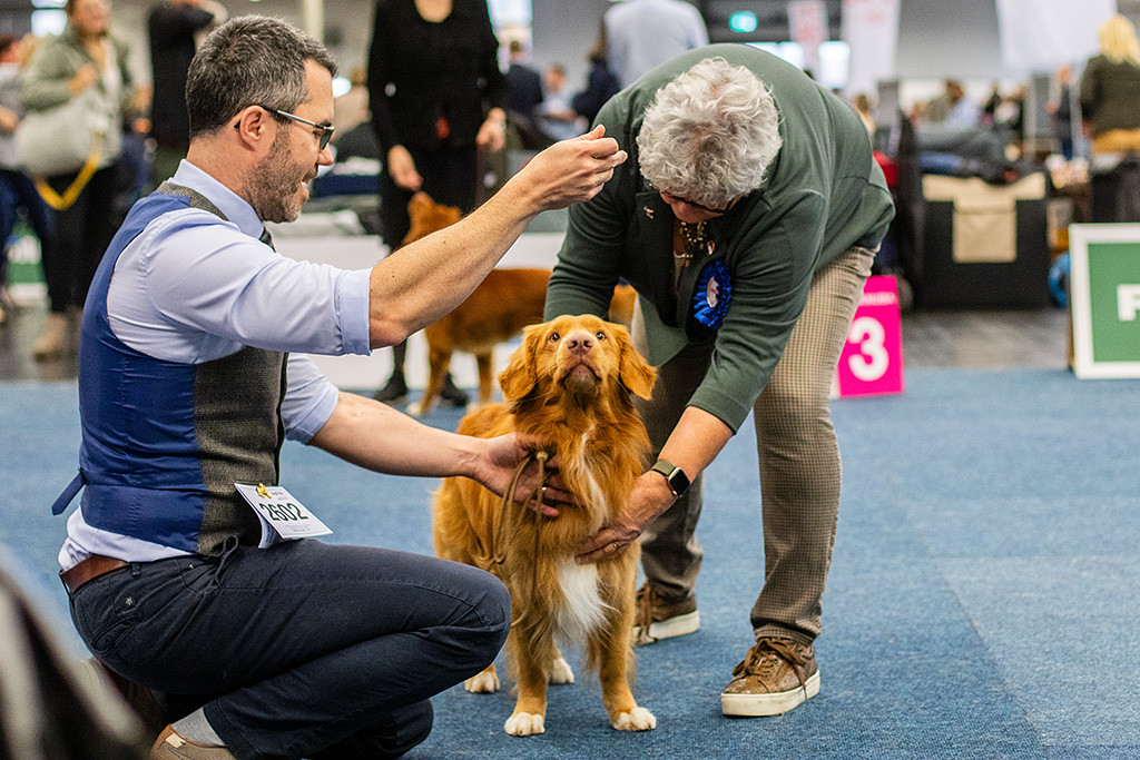 Newton wird von der Richterin abgetastet, Stephan kniet dahinter