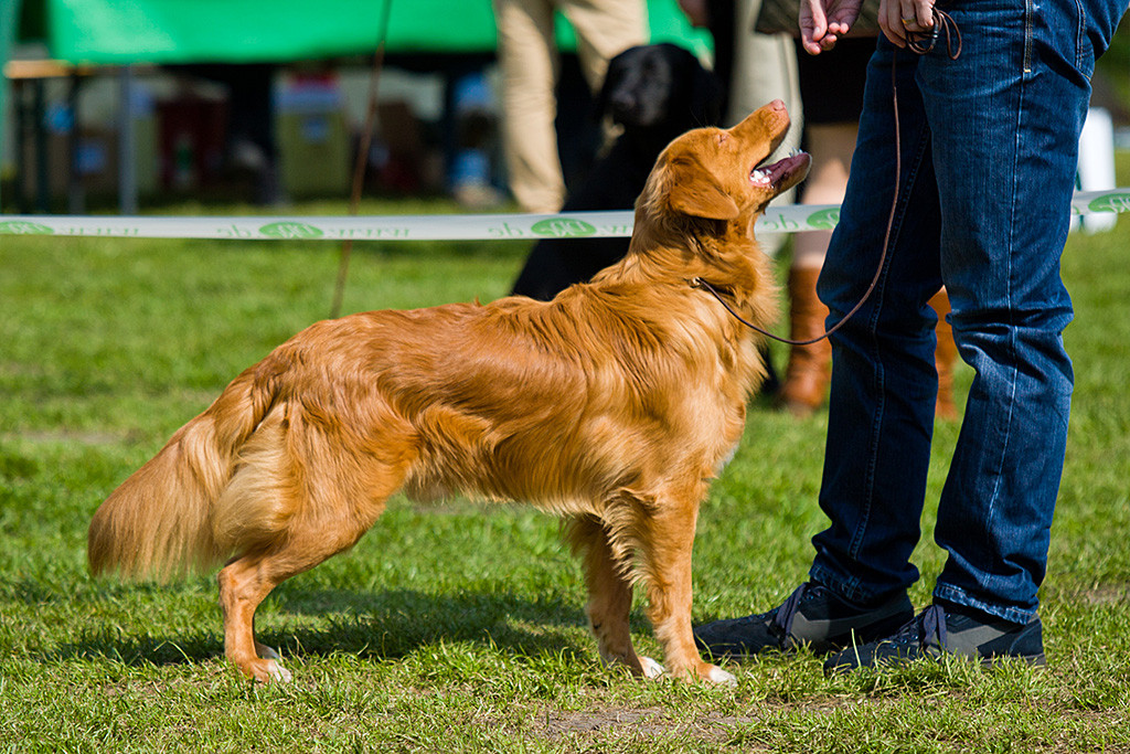 Edison in Nahaufnahme steht lächelnd vor Stephan