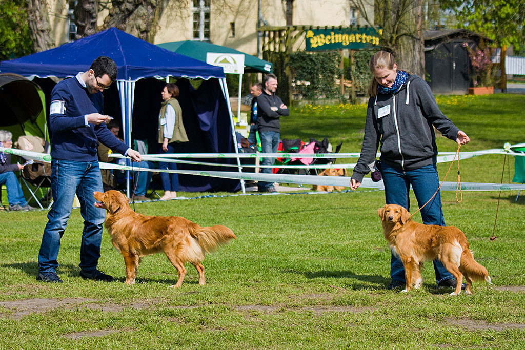 Edison steht mit Inlicios Hot And Cold im Ring