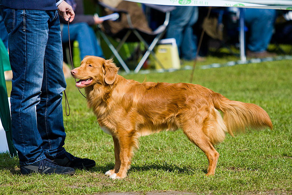 Edison stellt sich für die Präsentation hin